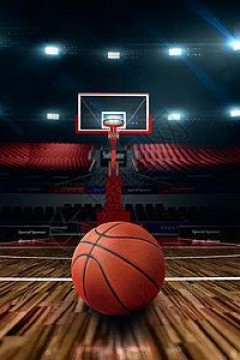 2月10日25-26赛季NBA常规赛 灰熊VS勇士