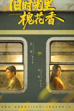 旧时光里槐花香