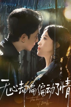 无心却偏偏动了情