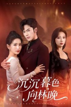 沉沉暮色向林晚