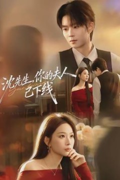 沈先生，你的夫人已下线