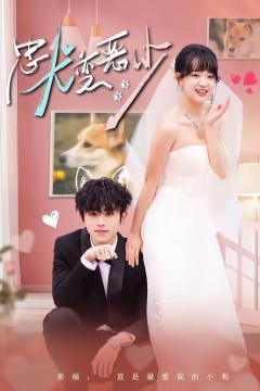 忠犬变恶少(惊！我家来福变恶少了)