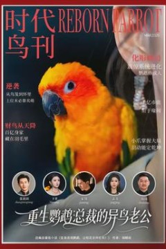 重生鹦鹉：总裁的异鸟老公