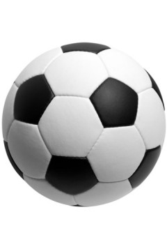 4月4日 25-26赛季意甲第31轮 萨索洛VS卡利亚里