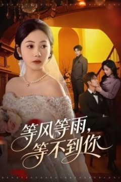 等风等雨，等不到你