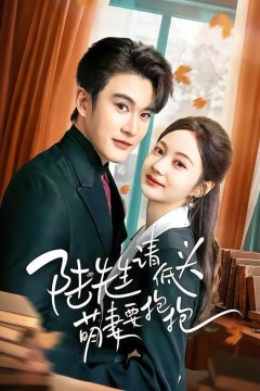 陆先生请低头萌妻要抱抱