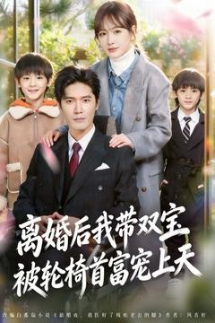 离婚后我带双宝被轮椅首富宠上天