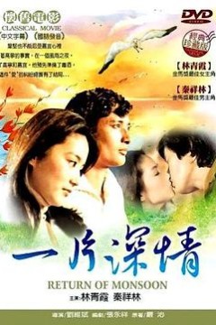 一片深情