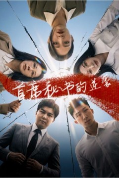 首席秘书的逆袭