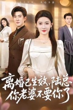 离婚已生效，陆总你老婆不要你了