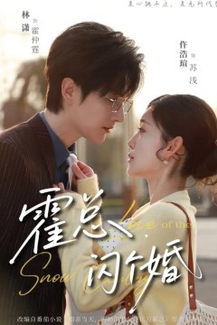 霍总闪个婚