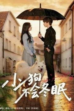 小狗不会冬眠