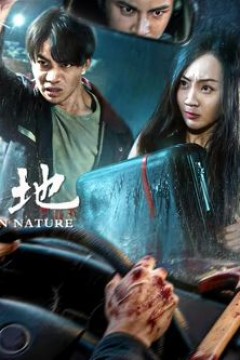 无声之地