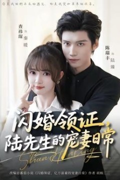 闪婚领证，陆先生的宠妻日常