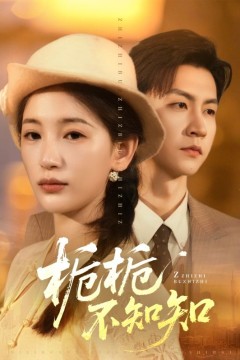 栀栀不知知