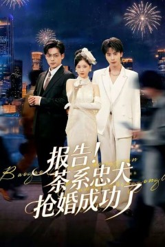 报告！茶系忠犬抢婚成功了