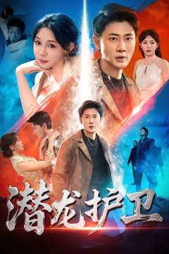 潜龙护卫