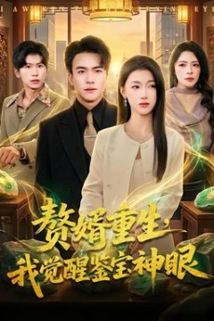 赘婿重生，我觉醒鉴宝神眼