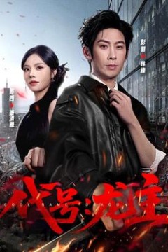 代号：龙主