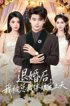退婚后，我被总裁伴娘宠上天