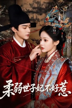 柔弱世子妃不好惹