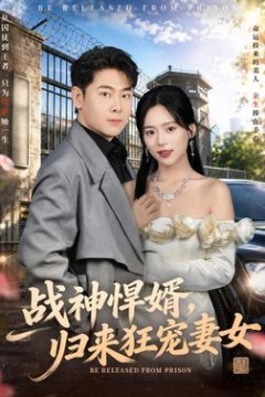 战神悍婿，归来狂宠妻女