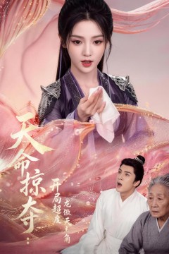 天命掠夺：开局超度龙傲天主角