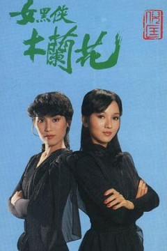 女黑侠木兰花粤语版