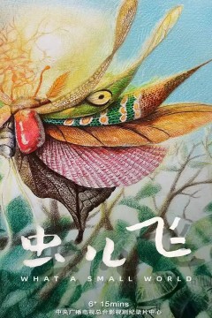 虫儿飞