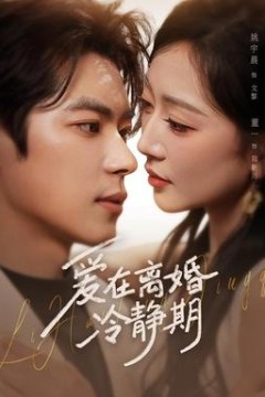 爱在离婚冷静期