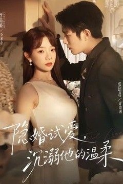隐婚试爱，沉溺他的温柔