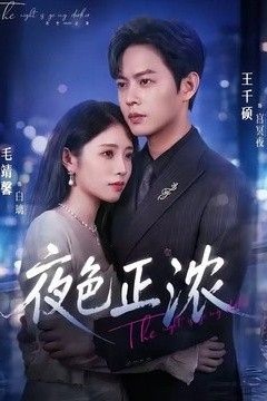夜色正浓(2026)