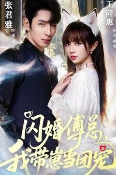 闪婚傅总，我带崽当团宠