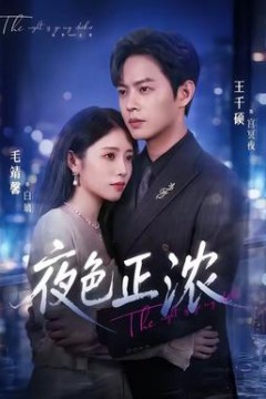夜色正浓