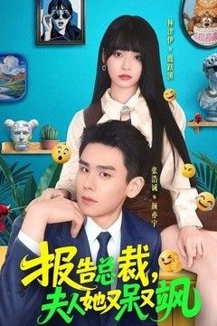 报告总裁，夫人她又呆又飒