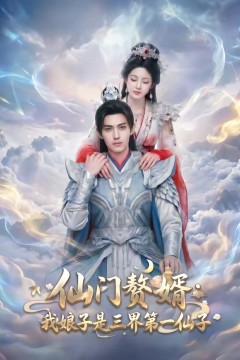 仙门赘婿：我娘子是三界第一仙子