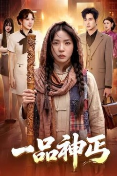 一品神丐