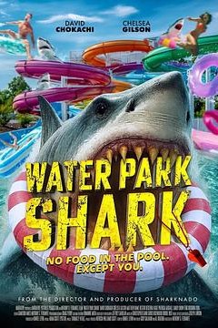 Water Park Shark