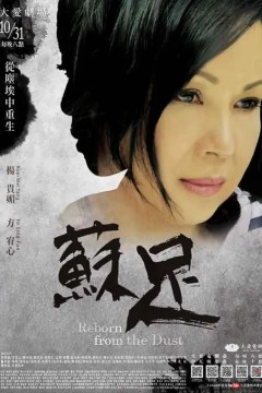 苏足2016