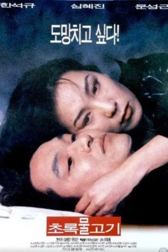 绿鱼1997