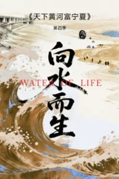 天下黄河富宁夏第四季