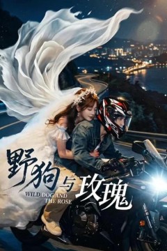 野狗与玫瑰