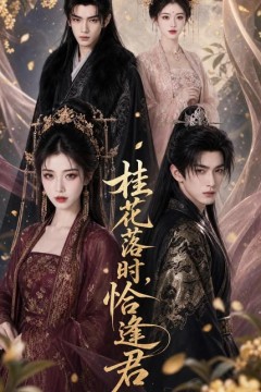 桂花落时，恰逢君