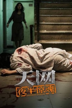 天网：夜半惊魂