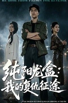 纯阳龙盒：我的复仇征途