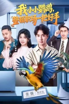 我小小鹦鹉，整顿职场一把好手