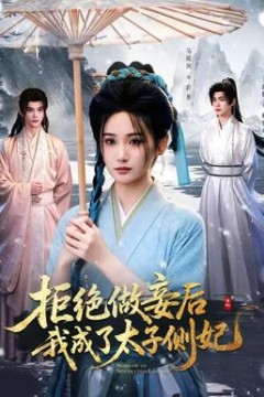 拒绝做妾后我成了太子侧妃