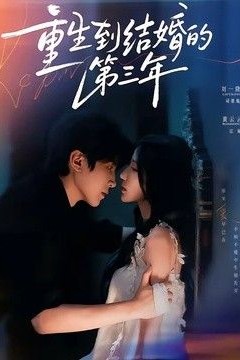 重生到结婚的第三年