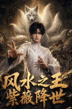 风水之王，紫薇降世