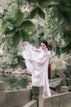 美丽的执念